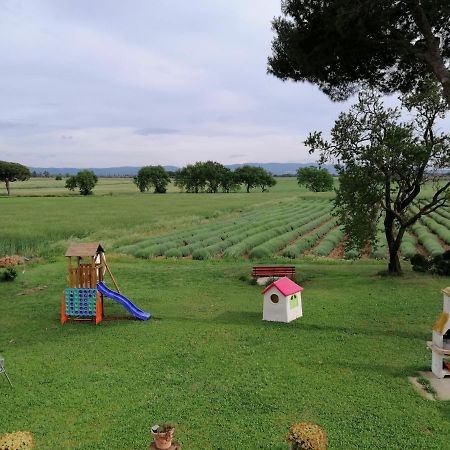 Agriturismo Susanna E Atria Bibbona Exteriér fotografie