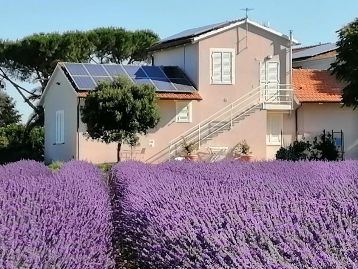 Agriturismo Susanna E Atria Bibbona Exteriér fotografie