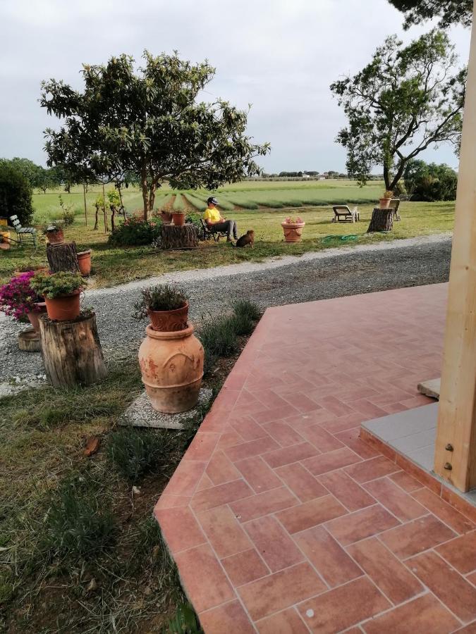 Agriturismo Susanna E Atria Bibbona Exteriér fotografie