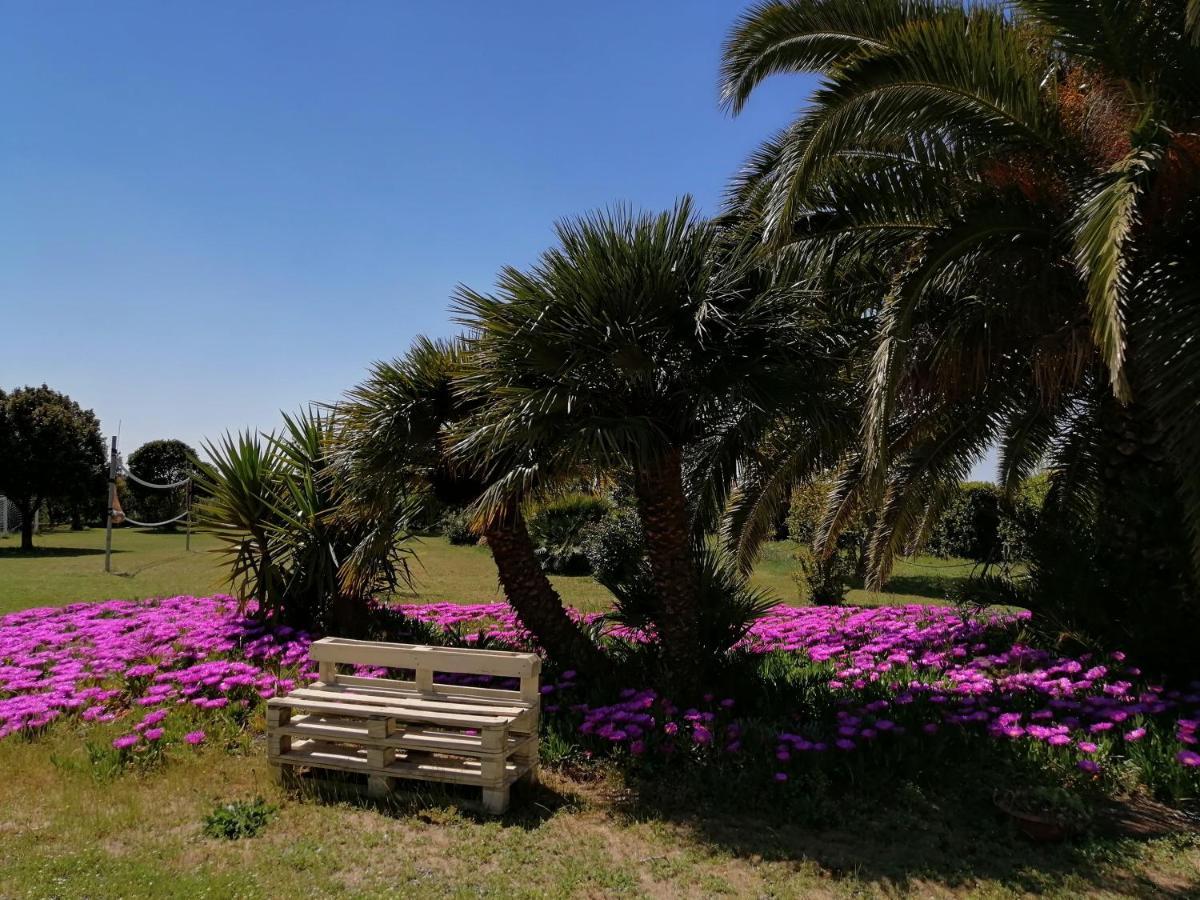 Agriturismo Susanna E Atria Bibbona Exteriér fotografie