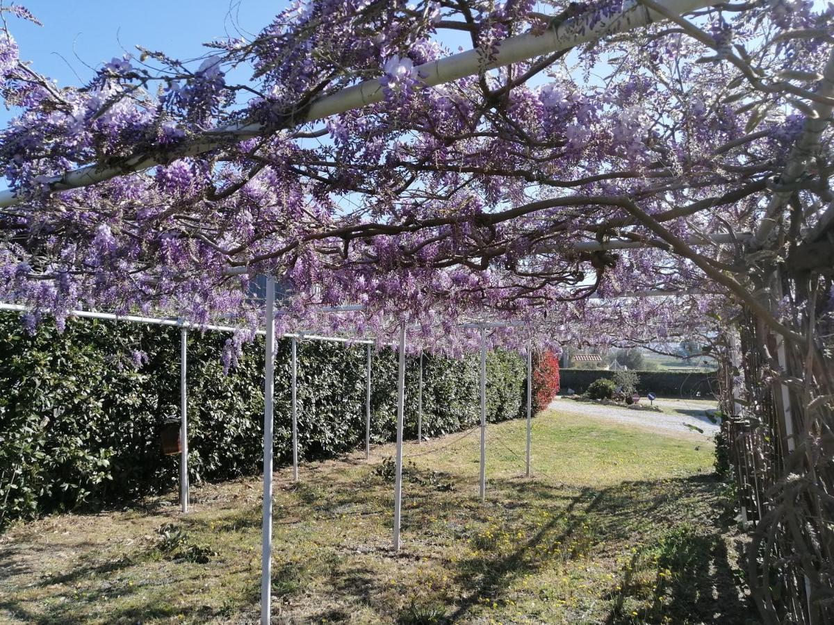 Agriturismo Susanna E Atria Bibbona Exteriér fotografie